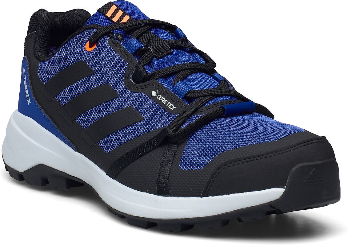 adidas Performance Terrex Skyhiker Gore-Tex Hiking Shoes Sport Shoes Outdoor/hiking Shoes Blå Adidas Performance