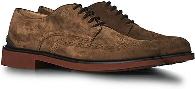 Tod's Brogue Brown Suede