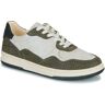 Clae ELFORD Pantofi sport Casual Bărbați Alb41,42,43,44 male