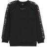 Balmain , Balmain Black ,Black male, Sizes: 10 Y, 13 Y, 12 Y, 14 Y, 6 Y, 8 Y