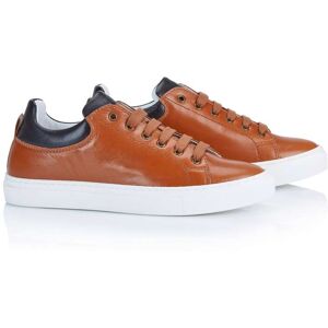 Madeleine Sneaker cognac / schwarz 36