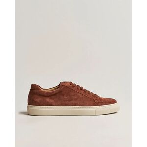 Sweyd Sneaker Mattone Suede