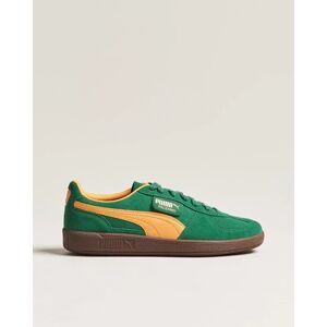 Puma Palermo Suede Sneaker Vine/Clementine