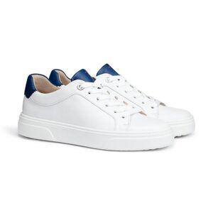 Lloyd 14-557-1dame Sneaker White/cobalt Str. 41