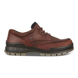 ECCO Track 25 Herr Gore-Tex BisonBison Oil Nubuck 40