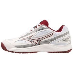 Chaussures de tennis pour femmes Mizuno Break Shot 4 AC - white/cabernet/papyrus blanc 39 female - Publicité