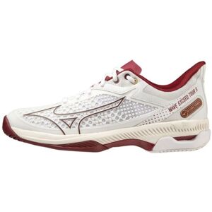 Chaussures de tennis pour femmes Mizuno Wave Exceed Tour 5 AC - white/cabernet/papyrus blanc 39 female - Publicité