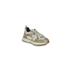 Baskets basses Art TURIN Beige 37,38,39,40 femmes - Publicité