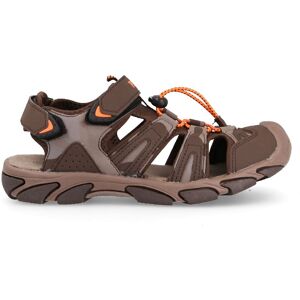 Barbate Sandals Marron EU 38 Femme Marron EU 38 female