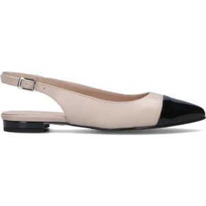 ROBERTA GINEPRI Slingback donna beige/nera in pelle NERO 37