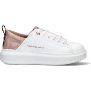 ALEXANDER SMITH SNEAKERS DONNA 39