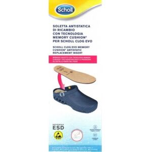 Scholl CLOG Evo Soletta A-Static 44/45