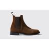 Scarosso Caterina Marrone - Donna Chelsea Boots Marrone - Camoscio 35