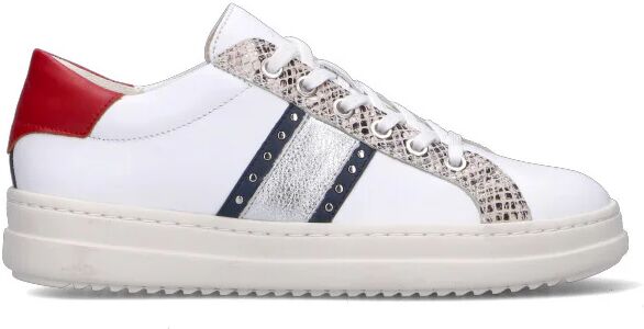 Geox SNEAKERS DONNA BIANCO BIANCO 35