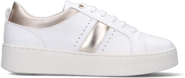 Geox Sneaker donna bianca/oro BIANCO 39