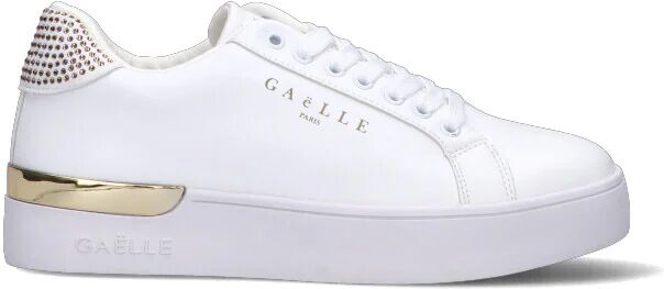 GAeLLE Sneaker donna bianca ORO 37