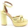 Toral Tl-amaia Goud 37 Female