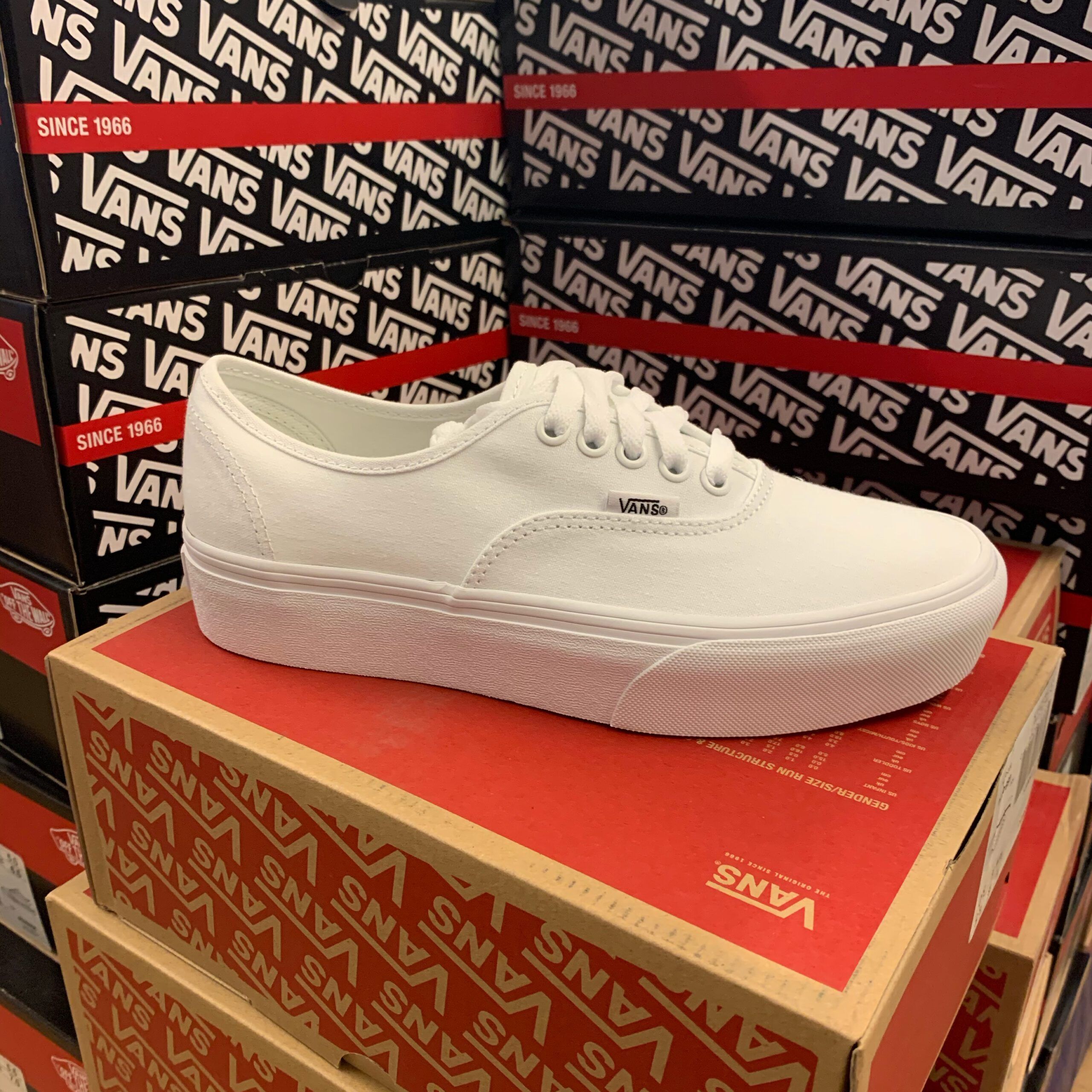 Merker VANS Vans - Authentic Platform True White 39