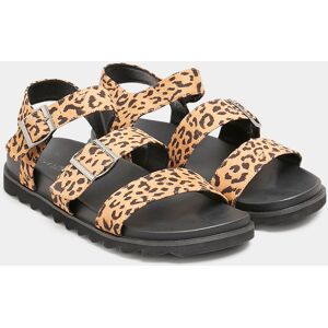 Yours Black Leopard Print Buckle Sandals In Extra Wide eee Fit Brown 5EEE Female