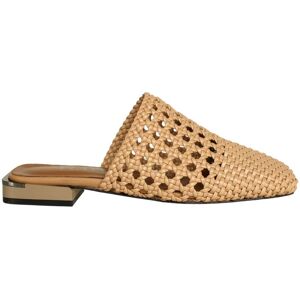 Platin Women's Stylish Slipper Summer Collection