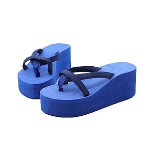 Moeido Women'S Slippers Solid Color Beach High-Heeled Flip-Flops Sandals Flip Flops For Women (Color : Blue, Size : 35)