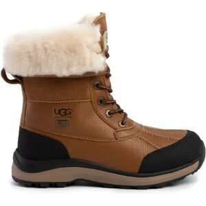 UGG , Brown Adirondack Boot II Booties ,Brown female, Sizes: 3 UK