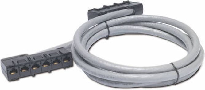 APC Cable de Red APC (RJ45 - Gris)