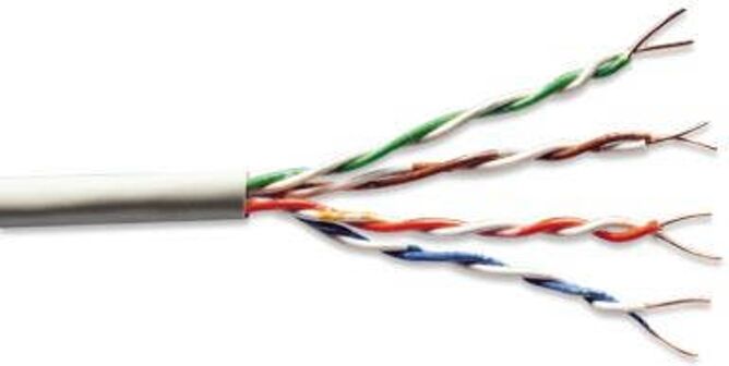 ASSMANN ELECTRONIC Cable de Red ASSMANN ELECTRONIC (RJ45)