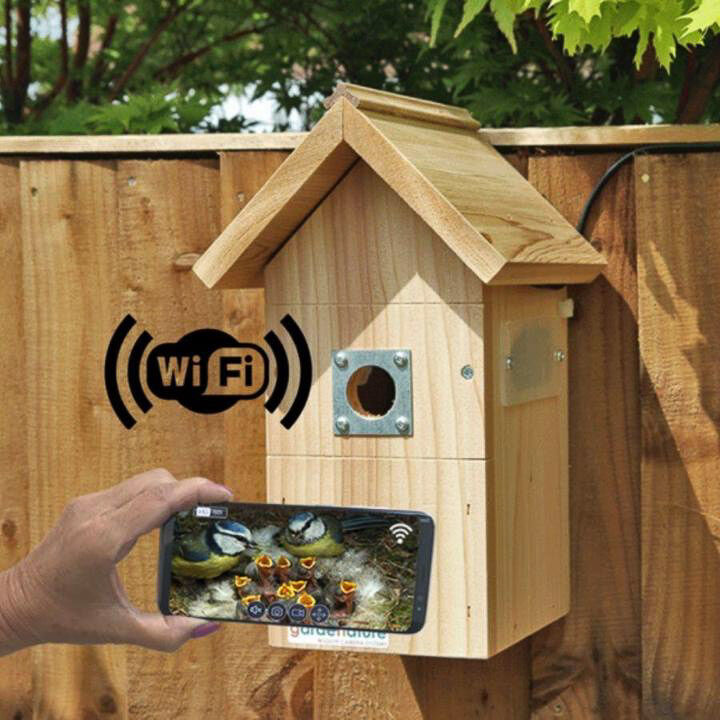 Wildlife Camera Systems Fuglekasse kamera kit, WiFi Farge Full-HD 1080p kamerakit m/infrarød nattfunksjon