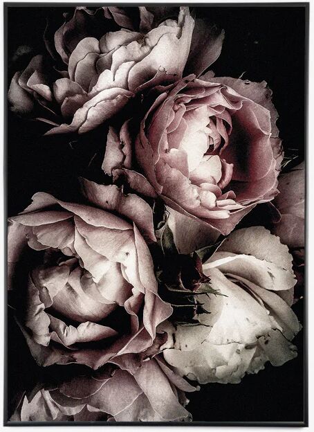 Incado Fine Art Lerret, H90, Dark Rose