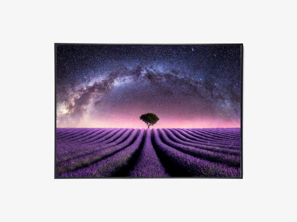 Incado Fine Canvas, H90, Lavender Field