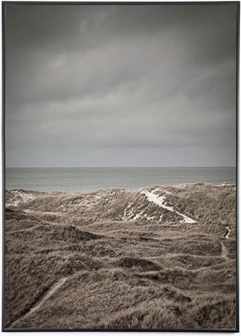 Foto Factory Skagen Dunes