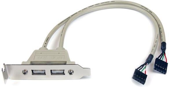 Startech Adaptador Interface Interno Usb 2.0 - Startech