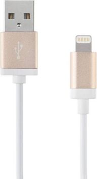 Artwizz Cabo 45285 (USB - Lightning - 1m - Dourado)