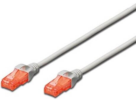 Ewent Cabo de Rede (RJ45 - 2 m - Cinzento)