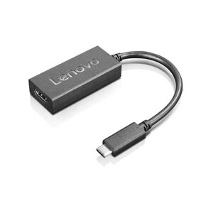 IBM USB-Kabel »USB Type-C - HD«, 24 cm  Größe