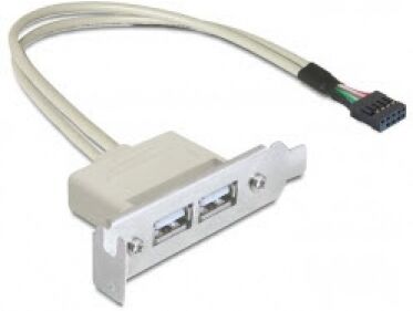 DeLock 83119 - Slotblech USB 2.0 Low Profile 2 Port