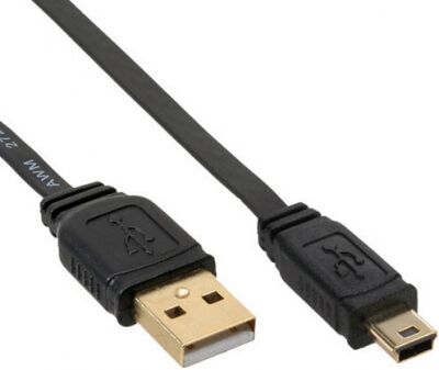 InLine Mini-USB 2.0 Kabel USB-A an Mini-B - schwarz - 1.0m