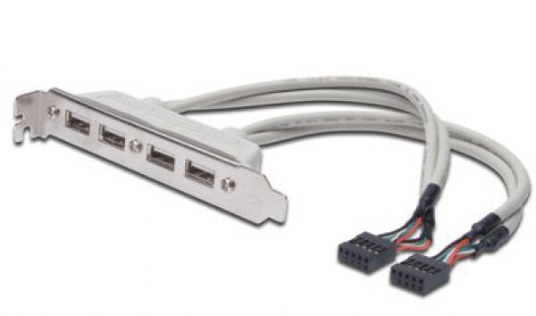Assmann AK-300304-002-E - USB Slotblechkabel, 4x Typ A - 2x10pin IDC, Bu/Bu, 0.25m