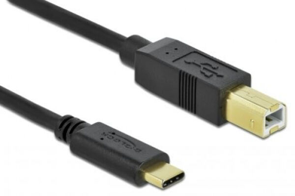 DeLock 83667 - USB 2.0 Kabel Type-C zu Typ-B 4 m