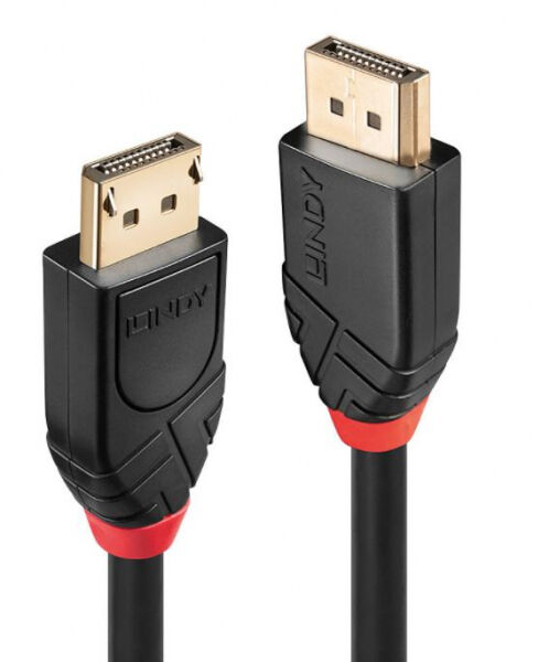 Lindy 41078 - Aktives DisplayPort 1.2 Kabel - 10m
