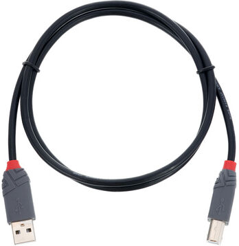 Lindy USB 2.0 Typ A/B 1m