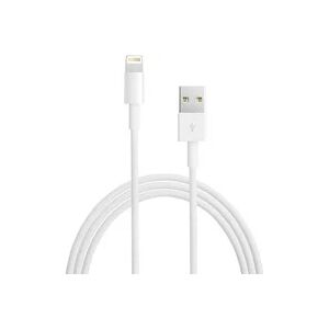 Apple USB 2.0 Adapterkabel, USB-A Stecker > Lightning Stecker