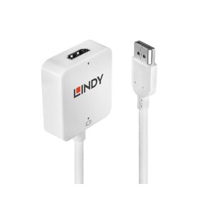 Lindy 38146 Video-Adapter, 0.15m