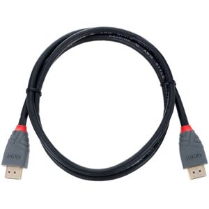 Lindy HDMI 2.0 Typ A 1m Schwarz