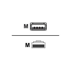 Zebra Technologies Zebra - Datakabel - USB (han) til RJ-45 (10-pin) (han) - 2 m - formet, lige stikforbindelse - for Digital Scanner DS3608-SR  Zebra DS3608-HD, DS3608-HP