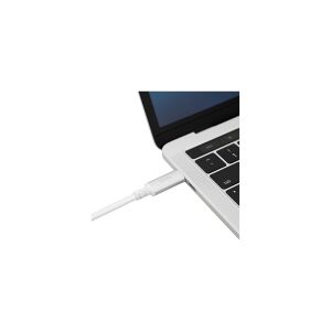 Moshi - DisplayPort kabel - 24 pin USB-C (han) til DisplayPort (han) - Thunderbolt 3 / DisplayPort 1.3 - 1.5 m - 5K support - hvid