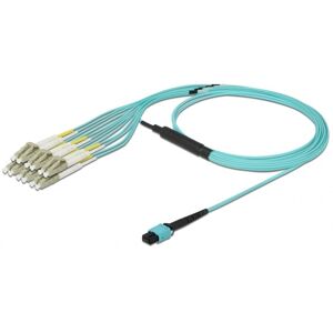 DeLOCK Fiber Optisk Mpo Hun Til 12 X Lc Duplex Han - Multi-Mode Om3