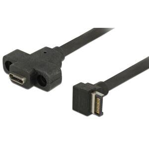 DeLOCK Usb-A 3.1 Gen2 20 Pin / Usb-C Mount Adapter - 0.45 M