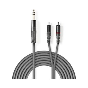 Nedis Câble Audio Stéréo 6,35 Mm Mâle - 2x Rca Mâles 3,0 M Gris Usage Non Intensif Nedis